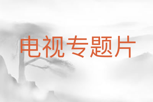 电视专题片