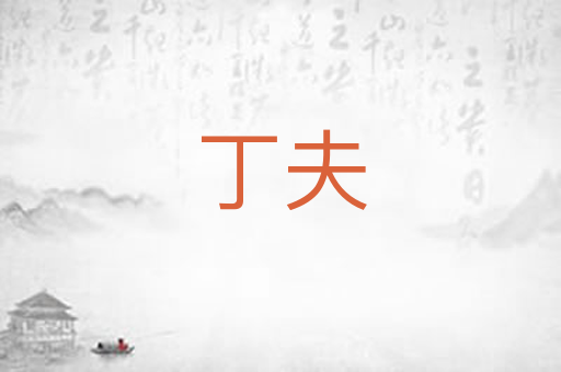 丁夫