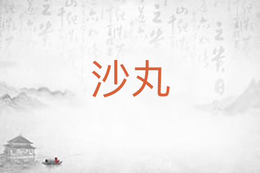 沙丸
