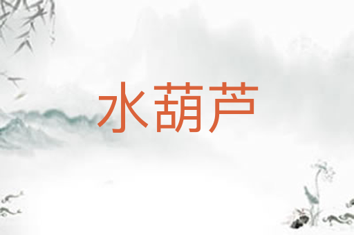水葫芦