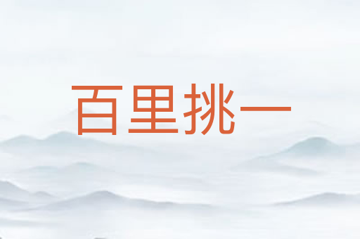 百里挑一