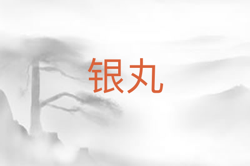银丸