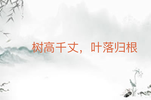 树高千丈,叶落归根