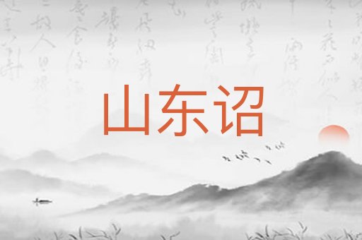 山东诏