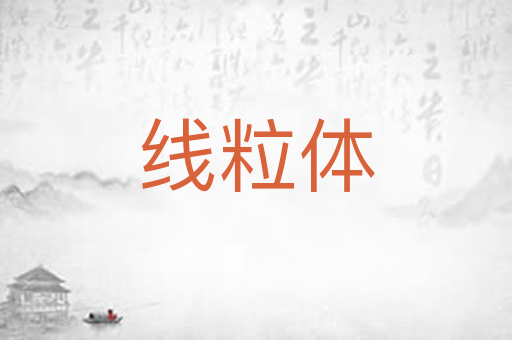 线粒体