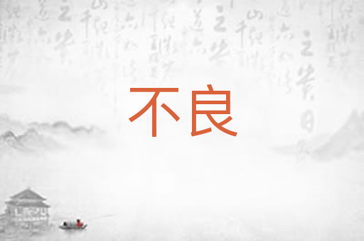不良