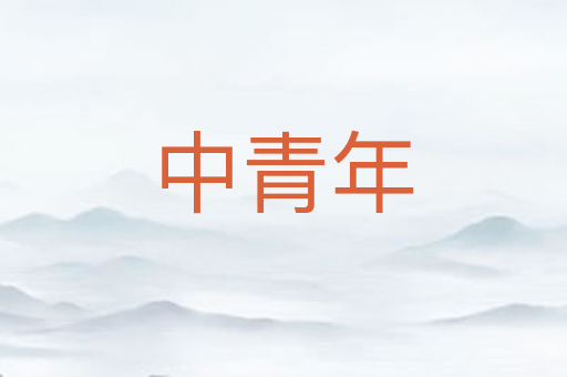 中青年