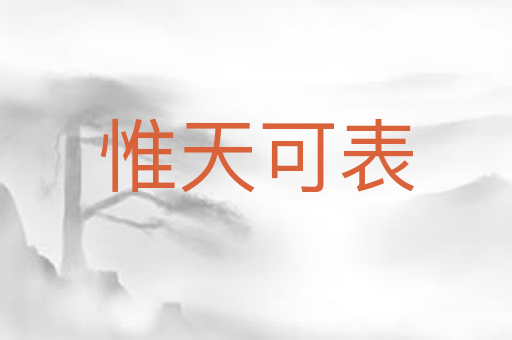 惟天可表