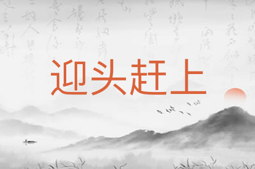 迎头赶上