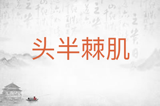 头半棘肌