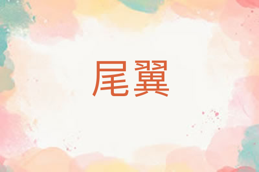 尾翼