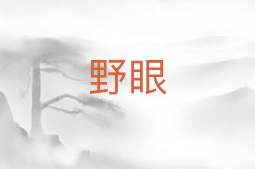 野眼