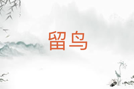 留鸟