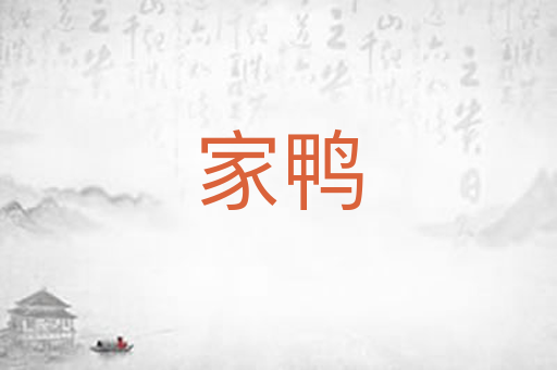 家鸭