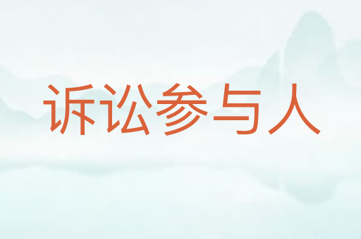 诉讼参与人