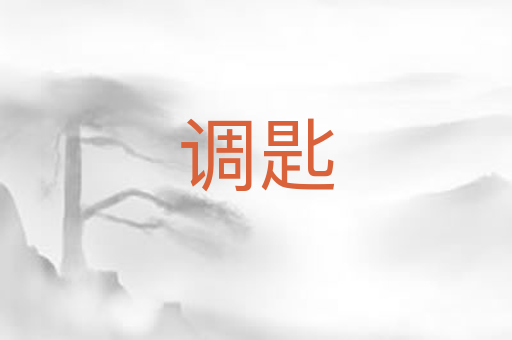 调匙
