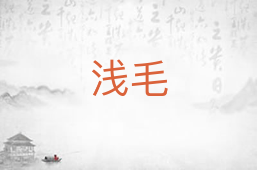 浅毛