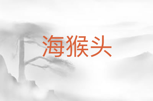 海猴头