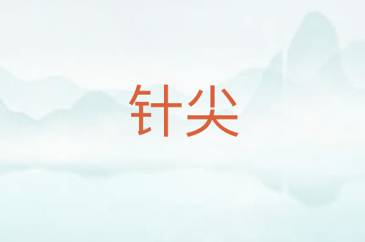 针尖