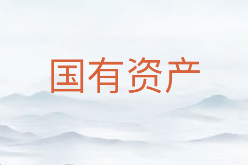 国有资产