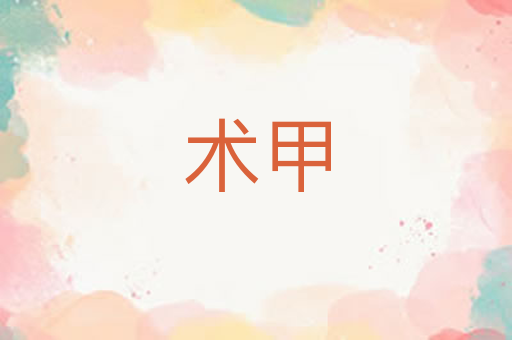 术甲