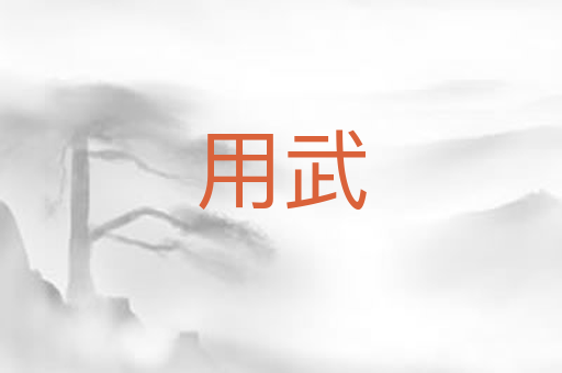 用武