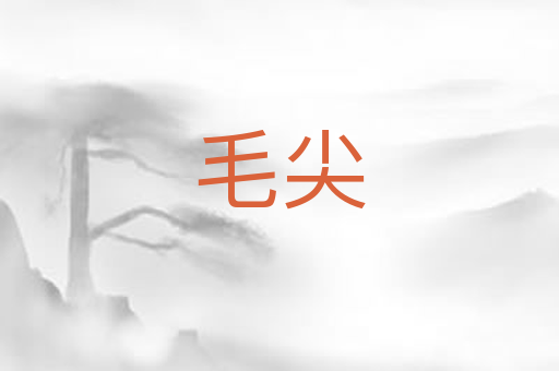 毛尖