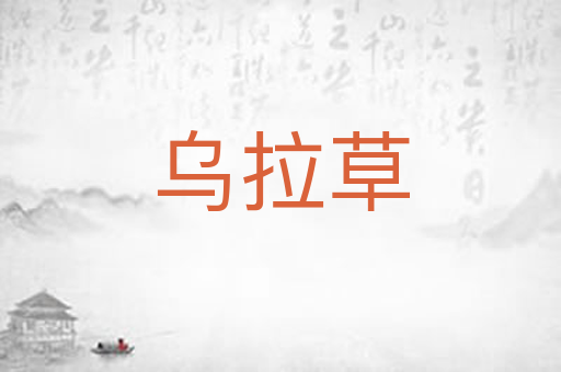 乌拉草