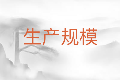 生产规模