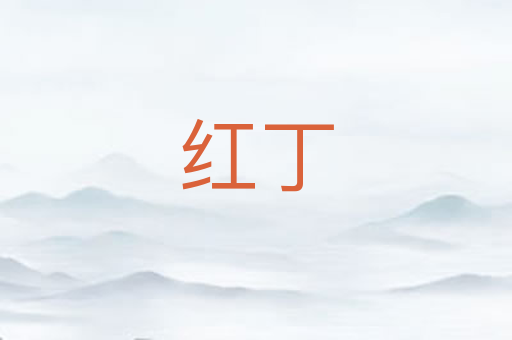 红丁