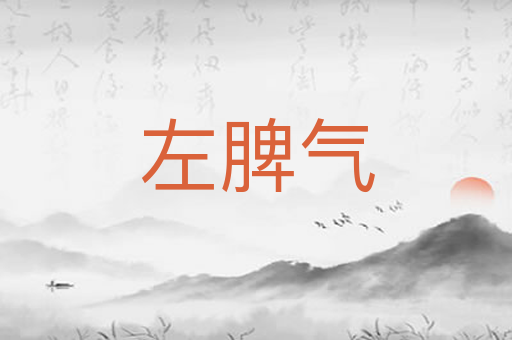 左脾气