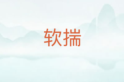 软揣