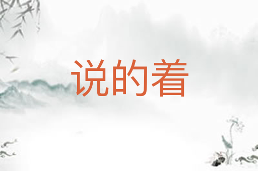 说的着
