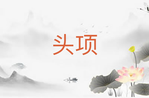 头项
