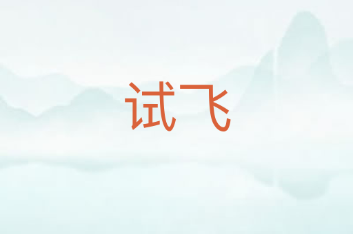 试飞