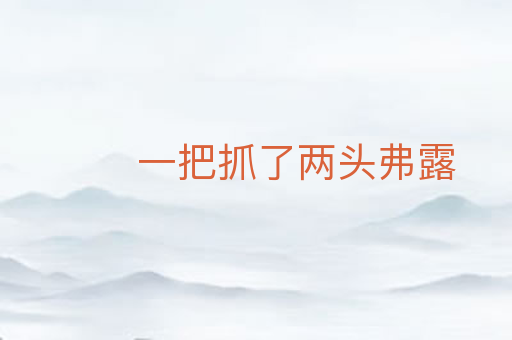一把抓了两头弗露