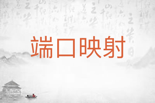 端口映射