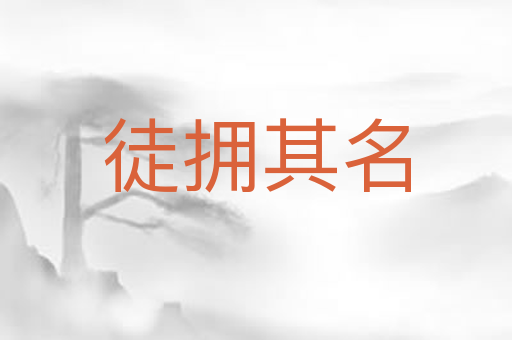 徒拥其名