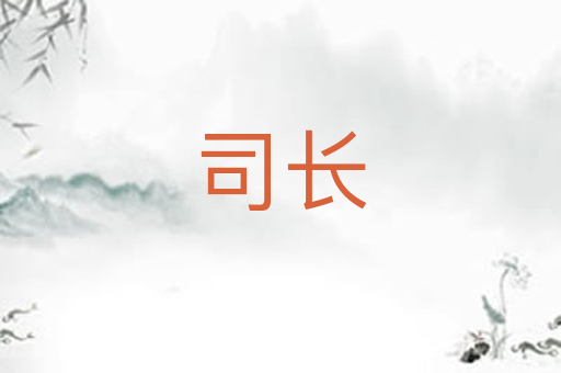 司长