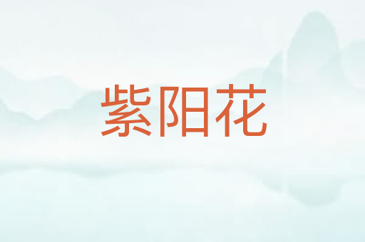 紫阳花