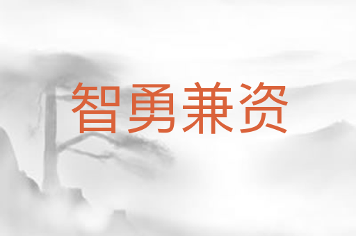 智勇兼资