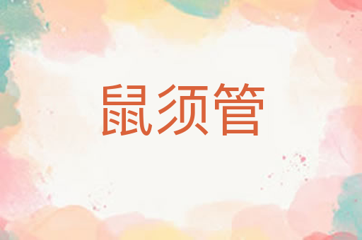 鼠须管