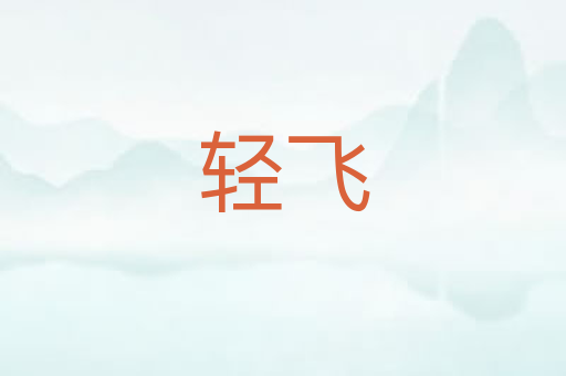 轻飞