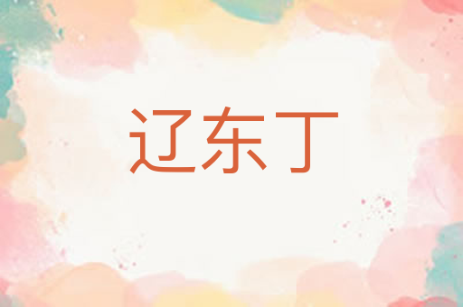 辽东丁