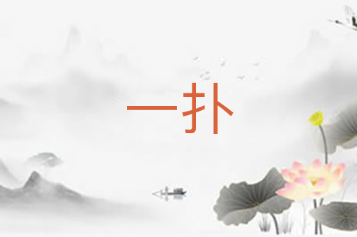 一扑