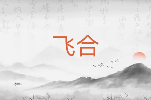 飞合