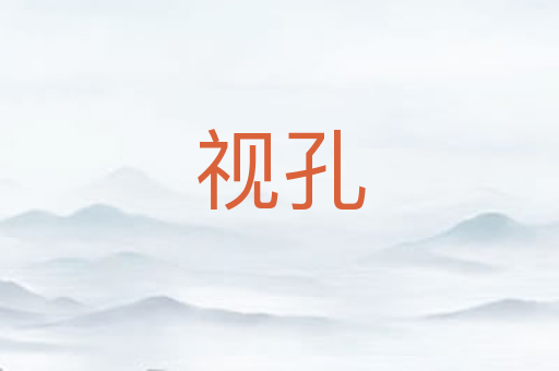 视孔
