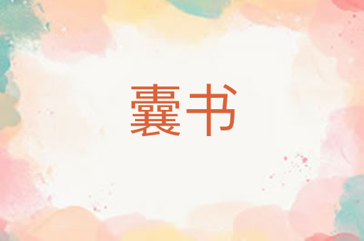 囊书