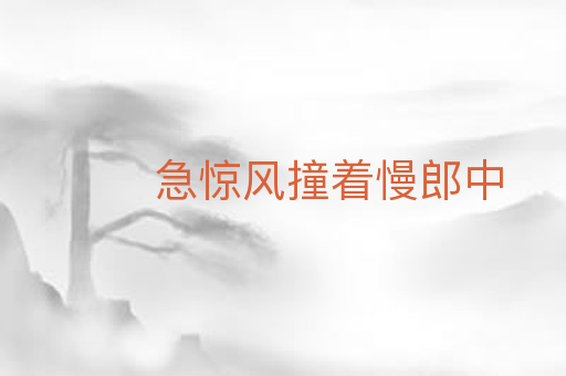 急惊风撞着慢郎中
