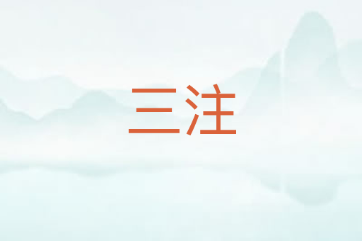 三注